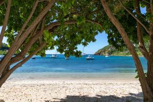 a view of a beach with boats in the water at Southern Star Villa Kayaks SUPS Steps to Beach in Monte