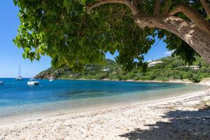 a view of a beach with a boat in the water at Southern Star Villa Kayaks SUPS Steps to Beach in Monte
