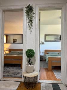 Ένα ή περισσότερα κρεβάτια σε δωμάτιο στο Apartments Baron Žabljak