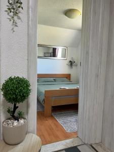 Η κουζίνα ή μικρή κουζίνα στο Apartments Baron Žabljak