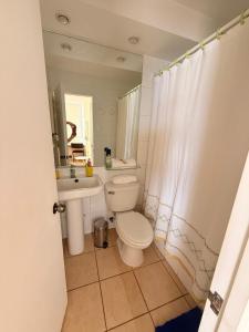 ein Badezimmer mit Toilette, Waschbecken und Spiegel in der Unterkunft Bahia Pelicanos Apartment in Horcon Puchuncavi in Puchuncaví