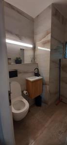 a bathroom with a toilet and a sink at דירת נופש צימר אירוח בצפת צפון קרוב למקווה ורשבי in Safed