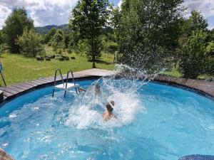 Πισίνα στο ή κοντά στο Czapliniec