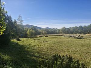 Φυσικό τοπίο κοντά σε αυτό το σαλέ