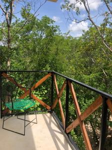 Příroda nedaleko bed and breakfast