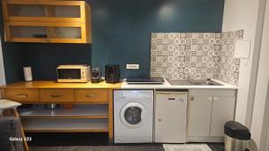 een keuken met een wasmachine en een wastafel bij Charmant studio in Élancourt