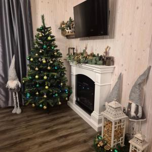 un arbre de Noël dans un salon avec une cheminée dans l'établissement Vēverkalni, à Vidriži