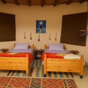 Siwa Spot客房内的一张或多张床位