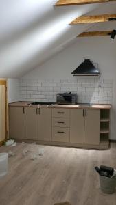 迪利然Penthouse 2 , apartment with 2 bedrooms的房间里有台面的厨房