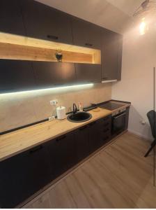 eine Küche mit Spüle und Arbeitsplatte in der Unterkunft Apartman Nina in Foča