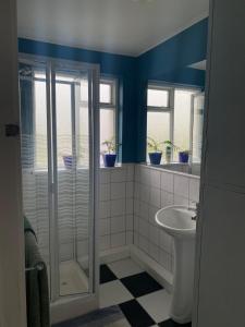 米尔敦马尔贝Station House Accommodation的浴室配有淋浴和洗手池 更多6张照片