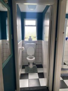 米尔敦马尔贝Station House Accommodation的蓝色的浴室设有卫生间和窗户。