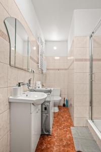 een badkamer met een wastafel, een toilet en een douche bij Apartamenty Centrum in Rybnik +11 foto's