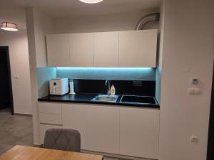 Η κουζίνα ή μικρή κουζίνα στο Apartma JOŠT