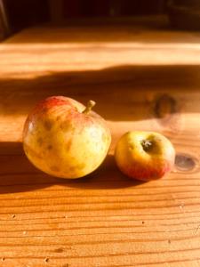 Ảnh trong thư viện ảnh của La Résidence Sycomorette  +37 ảnh