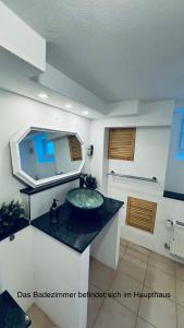 a bathroom with a sink and a mirror at Tiny House mit Pferdeblick in Travenhorst