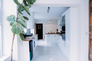 a kitchen with white cabinets and a plant at The Tardis, Cleethorpes in Cleethorpes