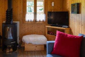 Μια τηλεόραση ή/και κέντρο ψυχαγωγίας στο Le Petit Mayen +33 φωτογραφίες