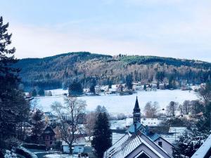 a small town with a snow covered mountain in the background at Le Chalet du Hohwald in Le Hohwald +4 photos