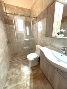 a bathroom with a toilet and a sink at Theo apartment with Balcony in Marathias