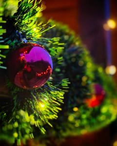 Nahaufnahme eines Weihnachtsbaums mit einer roten Kugel in der Unterkunft Etno Kutak Purtić in Ljubovija