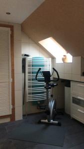 Fitness centrum a/nebo fitness zařízení v ubytování Holiday paradise