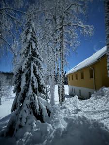 Mõedaku Puhkekeskus v zimě