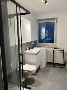 a bathroom with a toilet and a sink and a window at LilienNest - Stilvolles Apartment mit Panoramablick in Königstein an der Elbe