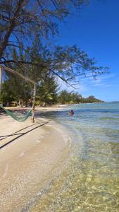 Phong cảnh thiên nhiên gần nhà nghỉ dưỡng +11 ảnh