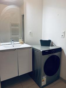 a bathroom with a washing machine and a sink at Cocon family in Strasbourg +8 photos