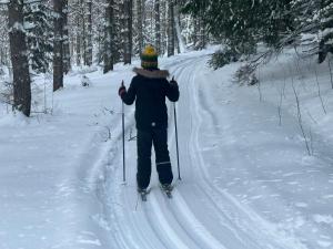 Tarula Holiday Home v zimě