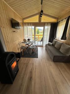 a living room with a couch and a fireplace at Wichrowe Wzgórze 5 in Rajcza