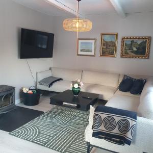 a living room with a couch and a tv at Stuga på hästgård in Svenstorp
