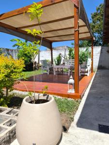 a large white vase with a plant in it at Geminis in San Nicolás de los Arroyos +24 photos