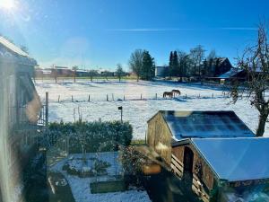 ein schneebedecktes Feld mit einem Pferd in der Ferne in der Unterkunft Fernblick Giershagen in Marsberg