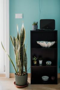 Sarina's apartment في باليرمو: نبات في وعاء بجانب رف أسود