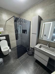 普里什蒂纳Central Lux Apartmens的浴室里有马桶、洗手池和淋浴。 更多19张照片