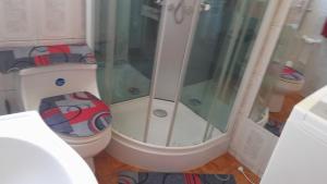 a bathroom with a shower next to a toilet at cabaña milita in Chile Chico +5 photos