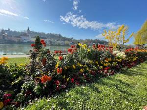 une rangée de fleurs dans un parc au bord d'une rivière dans l'établissement Charming Old Town Apartment - Central and Cozy, à Passau