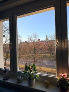 Φωτογραφία από το άλμπουμ του Dresden Altstadt στη Δρέσδη +2 φωτογραφίες