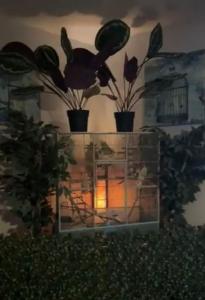 Zahrada ubytování Hotel Plantsylvania