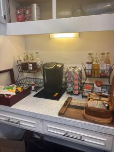 Kuchyň nebo kuchyňský kout v ubytování Hotel Plantsylvania