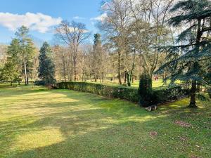 布隆302 Bron galerie lafayette的公园里有树篱，一只狗坐在草地上。