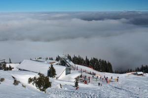 eine Gruppe von Menschen auf einer Skipiste im Schnee in der Unterkunft Appartement Bayerisch Eisenstein in Bayerisch Eisenstein