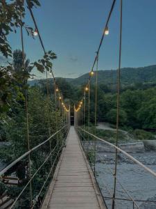 Příroda nedaleko kempu + 19 fotografií