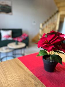 Istumisnurk majutusasutuses Domki na Wiśniowej Zator