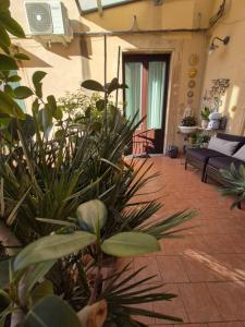 eine Terrasse mit Pflanzen und einer Couch in einem Zimmer in der Unterkunft CENTRO STORICO HOME with terrace in Catania