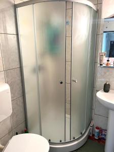 Ένα μπάνιο στο Andu Apartament