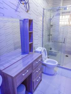 a bathroom with a sink and a toilet and a shower at Epic Apartment in Abuja