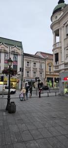 a group of people walking on a city street with buildings at ONYX Grand SPA Suite Zemun in Belgrade